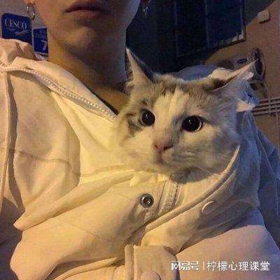 少年赵云传下载
